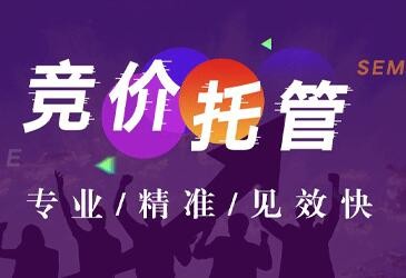 竞价托管公司