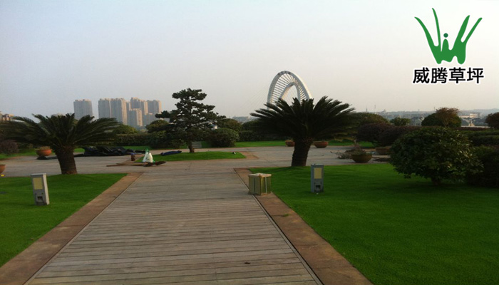 江苏宜兴人造草坪屋顶花园-威腾