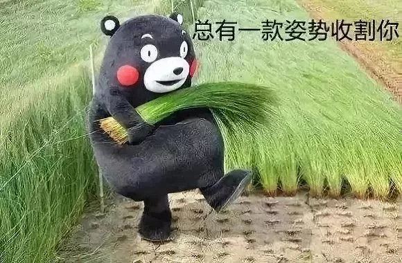 黑帽seo优化_白帽黑帽灰帽seo优化排名_黑帽seo和白帽seo联系是什么?