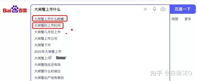 seo优化网站怎么优化_seo优化书_dedecms网站优化公司/seo优化企业模板
