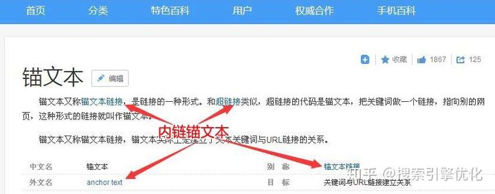 网站seo优化知识_sitewww.seowhy.com seo优化知识_搜索引擎优化(seo)知识完全手册